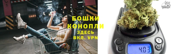 прущая мука Инсар