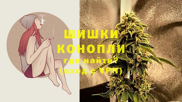 амф Инта