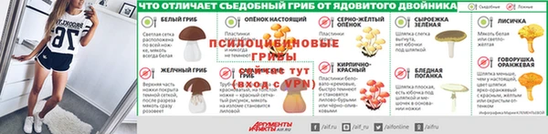spice Зерноград