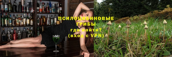 прущая мука Инсар