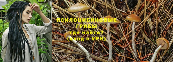 тгк Иннополис